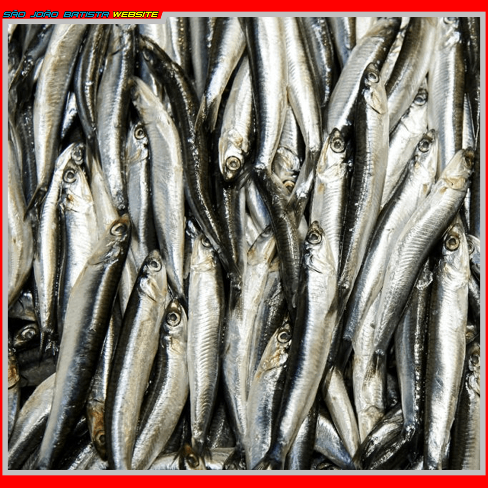 CHIANO V1 (2)