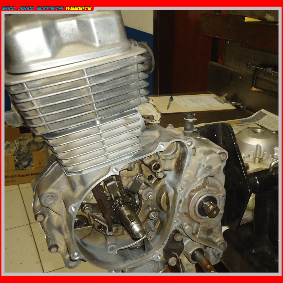 LEOMAR V1 (5)